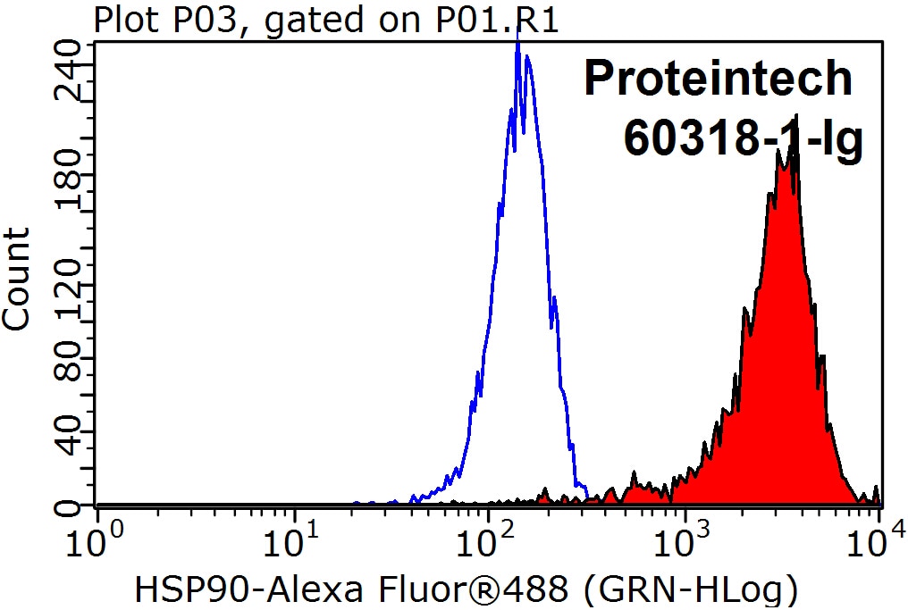 Flow cytometry (FC) experiment of K-562 cells using HSP90 Monoclonal antibody (60318-1-Ig)