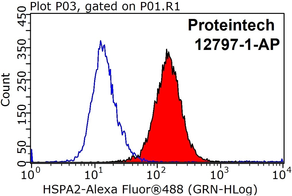 Flow cytometry (FC) experiment of HeLa cells using HSPA2 Polyclonal antibody (12797-1-AP)