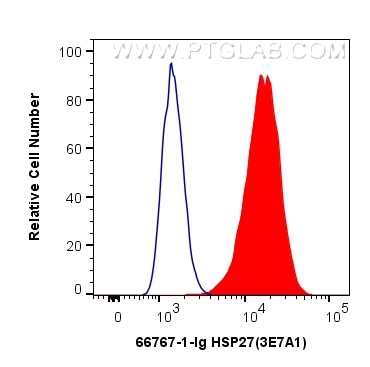 Flow cytometry (FC) experiment of HepG2 cells using HSP27 Monoclonal antibody (66767-1-Ig)