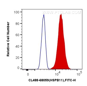 Flow cytometry (FC) experiment of HeLa cells using CoraLite® Plus 488-conjugated HSPB11 Monoclonal an (CL488-68059)