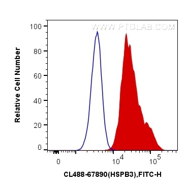 Flow cytometry (FC) experiment of HeLa cells using CoraLite® Plus 488-conjugated HSPB3 Monoclonal ant (CL488-67890)