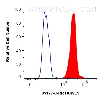 Flow cytometry (FC) experiment of HeLa cells using HUWE1 Recombinant antibody (85177-3-RR)