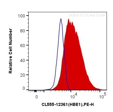 Flow cytometry (FC) experiment of K-562 cells using CoraLite®555-conjugated Hemoglobin Epsilon Polyclo (CL555-12361)