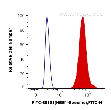 Flow cytometry (FC) experiment of K-562 cells using FITC-conjugated HBE1-Specific Monoclonal antibody (FITC-66151)