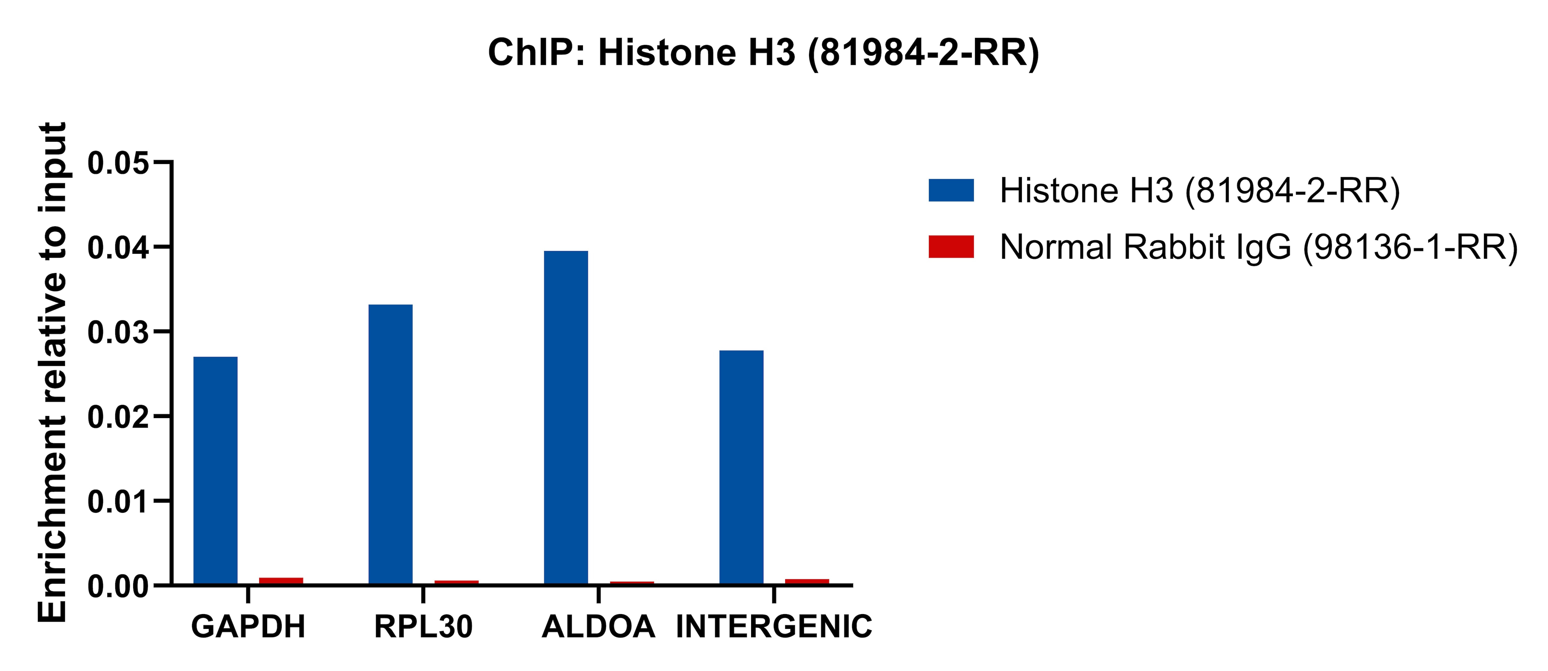 ChIP experiment of HeLa cells using Histone H3 Recombinant antibody (81984-2-RR)