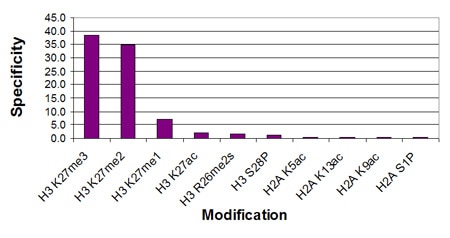 Histone H3 di/trimethyl Lys27 antibody specificity tested by peptide array analysis. Peptide array analysis was used to confirm the specificity of this antibody for its intended modification. Histone H3 di/trimethyl Lys27 antibody was applied at a dilution of 1:500 to Active Motif's MODified Histone Peptide Array (Catalog No. 13001). The arrays were scanned with ArrayAnalysis Software 7 and the results plotted. Specificity data is shown for the most reactive peptides.