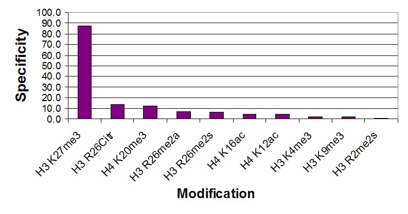 Histone H3 trimethyl Lys27 antibody specificity tested by peptide array analysis. Peptide array analysis was used to confirm the specificity of this antibody for its intended modification. Histone H3 trimethyl Lys27 antibody was applied at a dilution of 1:5,000 to Active Motif's MODified Histone Peptide Array (Catalog No. 13001). The arrays were scanned with ArrayAnalysis Software 7 and the results plotted. Specificity data is shown for the most reactive peptides and those related to the immunogen. Recognition of the H3 trimethyl Lys27 peptides by the antibody blocked by phosphorylation at Ser28. Array Data File