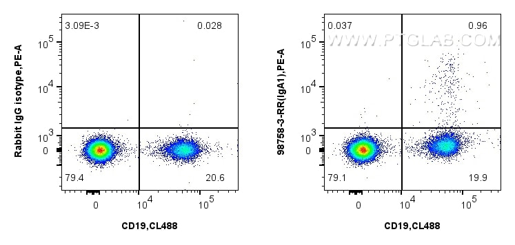 Flow cytometry (FC) experiment of human PBMCs using Anti-Human IgA1 Rabbit Recombinant Antibody (98758-3-RR)