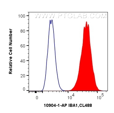 Flow cytometry (FC) experiment of THP-1 cells using IBA1 Polyclonal antibody (10904-1-AP)
