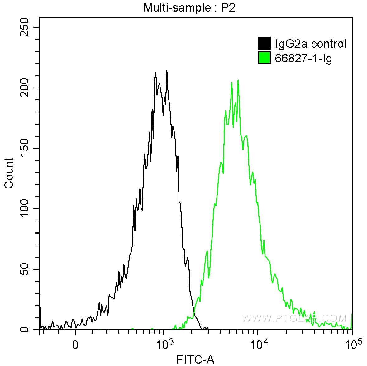 FC experiment of THP-1 using 66827-1-Ig