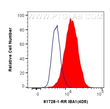 Flow cytometry (FC) experiment of THP-1 cells using IBA1 Recombinant antibody (81728-1-RR)