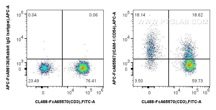 1x10^6 human PBMCs were surface stained with FcZero-rAb™ CoraLite® Plus 488 Anti-Human CD3 (UCHT1), and 5 ul APC Anti-Human ICAM-1/CD54 (15.2) Rabbit IgG RecAb (APC-FcA65567, Clone: 15.2) or APC Rabbit IgG Isotype Control RecAb (APC-FcA98136, Clone: 240953C9). Cells were not fixed. Lymphocytes were gated. Flow cytometry (FC) experiment of human PBMCs using FcZero-rAb™ APC Anti-Human ICAM-1/CD54 (15.2) Rabb (APC-FcA65567)