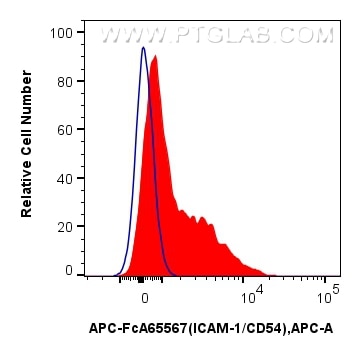 1x10^6 human PBMCs were surface stained with 5 ul APC Anti-Human ICAM-1/CD54 (15.2) Rabbit IgG RecAb (APC-FcA65567, Clone: 15.2) (red) or APC Rabbit IgG Isotype Control RecAb (APC-FcA98136, Clone: 240953C9) (blue). Cells were not fixed. Lymphocytes were gated. Flow cytometry (FC) experiment of human PBMCs using FcZero-rAb™ APC Anti-Human ICAM-1/CD54 (15.2) Rabb (APC-FcA65567)