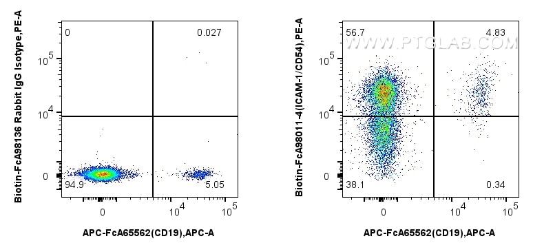 Flow cytometry (FC) experiment of human PBMCs using FcZero-rAb™ Biotin Anti-Human ICAM-1/CD54 Rabbit R (Biotin-FcA98011-4)
