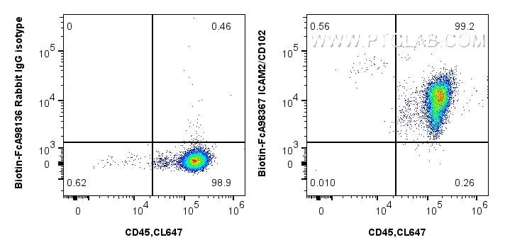Flow cytometry (FC) experiment of human PBMCs using FcZero-rAb® Biotin Anti-Human ICAM-2/CD102 Rabbit  (Biotin-FcA98367)