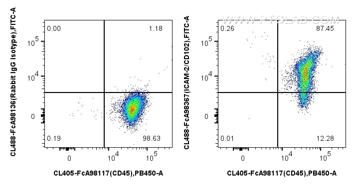 Flow cytometry (FC) experiment of human PBMCs using FcZero-rAb® CoraLite® Plus 488 Anti-Human ICAM-2/C (CL488-FcA98367)