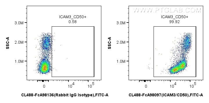 FC experiment of human PBMCs using CL488-FcA98097 Flow cytometry (FC) experiment of human PBMCs using FcZero-rAb® CoraLite® Plus 488 Anti-Human ICAM3/CD (CL488-FcA98097)