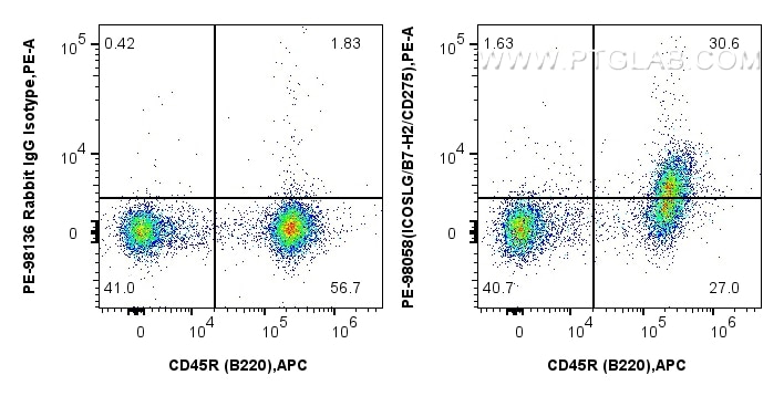 1x10^6 mouse splenocytes were surface stained with 0.1 ug APC Anti-Mouse CD45R (B220) (RA3-6B2) (APC-65139, Clone: RA3-6B2), and 0.1 ug PE Anti-Mouse ICOSLG/B7-H2/CD275 Rabbit RecAb (PE-98058, Clone: 240243G5) or 0.1 ug PE Rabbit IgG Isotype Control RecAb (PE-98136, Clone: 240953C9). Cells were not fixed. Flow cytometry (FC) experiment of mouse splenocytes using PE Anti-Mouse ICOSLG/B7-H2/CD275 Rabbit Recombinan (PE-98058)