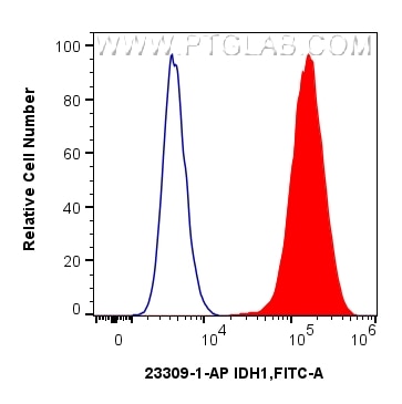 1x10^6 HepG2 cells were intracellularly stained with 0.25 ug IDH1 Polyclonal antibody (23309-1-AP) and CoraLite®488-Conjugated Goat Anti-Rabbit IgG(H+L) (SA00013-2)(red), or 0.25 ug Isotype Control (blue). Cells were fixed and permeabilized with Intracellular Flow Cytometry Fixation & Permeabilization Buffer Kit (PF00019). Flow cytometry (FC) experiment of HepG2 cells using IDH1 Polyclonal antibody (23309-1-AP)