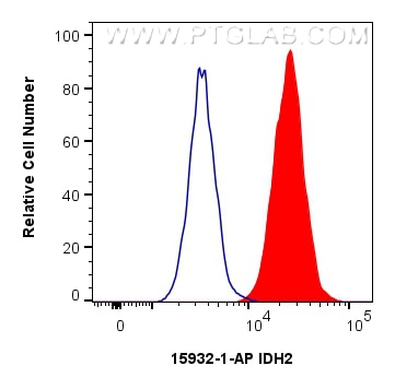 1x10^6 HeLa cells were intracellularly stained with 0.25 ug IDH2 Polyclonal antibody (15932-1-AP) and CoraLite®488-Conjugated Goat Anti-Rabbit IgG(H+L) (SA00013-2)(red), or 0.25 ug Isotype Control (blue). Cells were fixed and permeabilized with Intracellular Flow Cytometry Fixation & Permeabilization Buffer Kit (PF00019). Flow cytometry (FC) experiment of HeLa cells using IDH2 Polyclonal antibody (15932-1-AP)