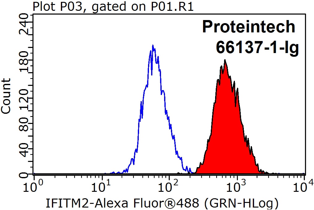 FC experiment of HeLa using 66137-1-Ig