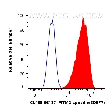 Flow cytometry (FC) experiment of HeLa cells using CoraLite® Plus 488-conjugated IFITM2-specific Mono (CL488-66137)