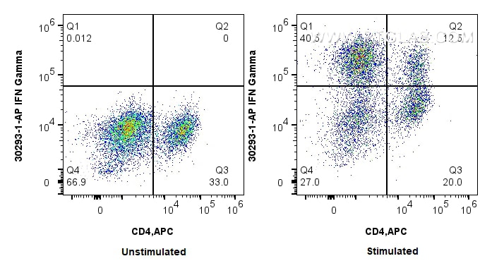 Flow cytometry (FC) experiment of rat splenocytes cells using IFN Gamma Polyclonal antibody (30293-1-AP)