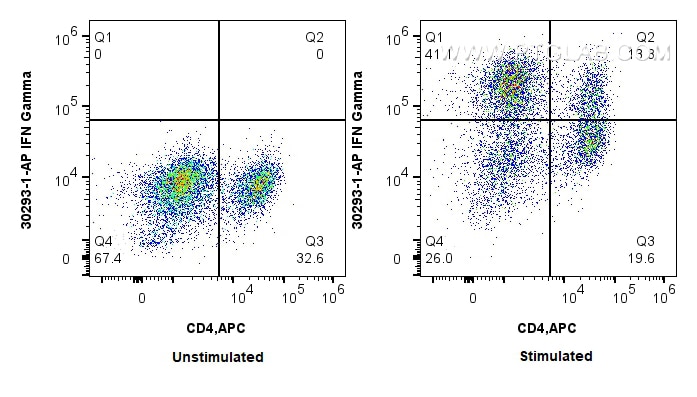 Flow cytometry (FC) experiment of rat splenocytes cells using IFN-Gamma Polyclonal antibody (30293-1-AP)