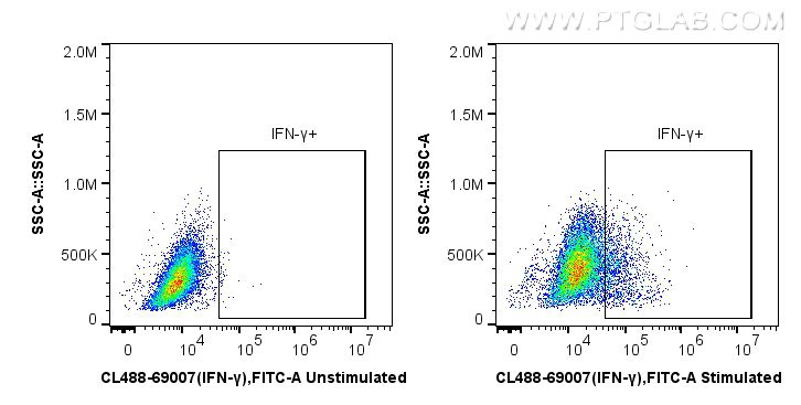 Flow cytometry (FC) experiment of Jurkat cells using CoraLite® Plus 488-conjugated IFN Gamma Monoclonal (CL488-69007)