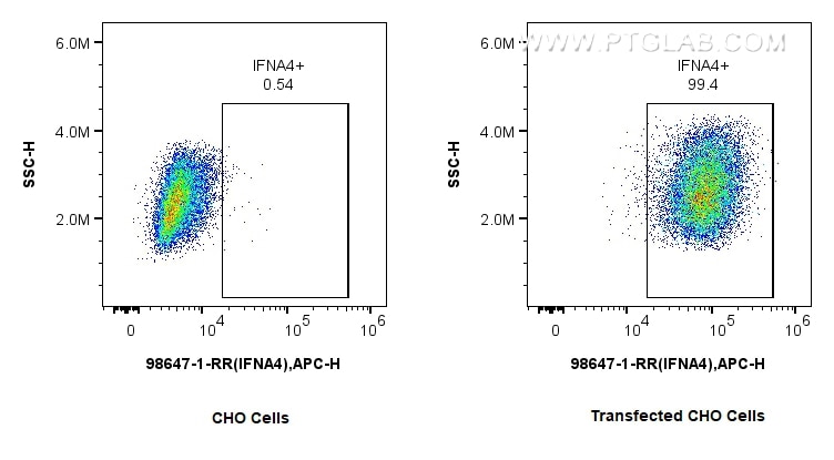 Flow cytometry (FC) experiment of Transfected CHO using Anti-Human IFN-alpha 4/IFNA4 Rabbit Recombinant An (98647-1-RR)