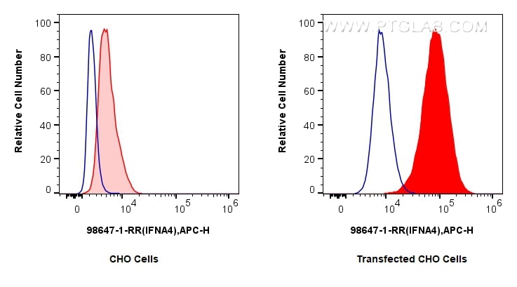 Flow cytometry (FC) experiment of Transfected CHO using Anti-Human IFN-alpha 4/IFNA4 Rabbit Recombinant An (98647-1-RR)