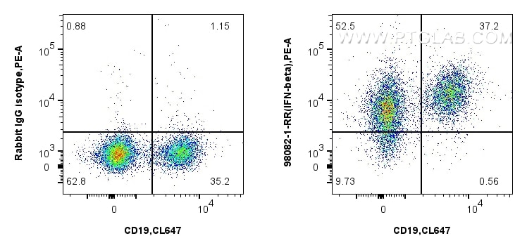 Flow cytometry (FC) experiment of mouse splenocytes using Anti-Mouse IFN-beta Rabbit Recombinant Antibody (98082-1-RR)