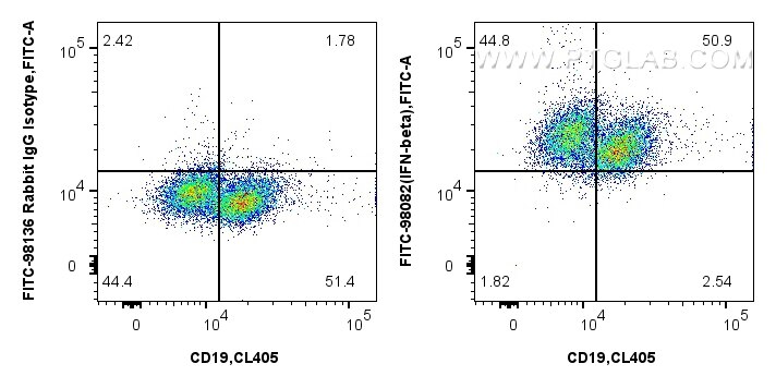 FC experiment of mouse splenocytes using FITC-98082 Flow cytometry (FC) experiment of mouse splenocytes using FITC Plus Anti-Mouse IFN-beta Rabbit Recombinant A (FITC-98082)