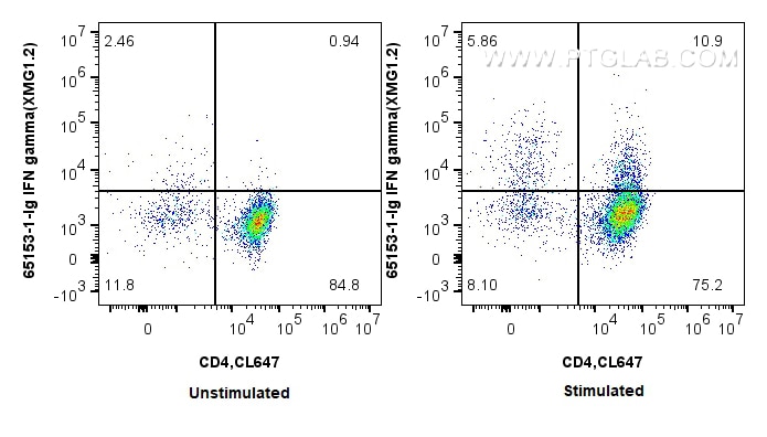 Flow cytometry (FC) experiment of C57BL/6 Th1-polarized splenocytes using Anti-Mouse IFN gamma (XMG1.2) (65153-1-Ig)