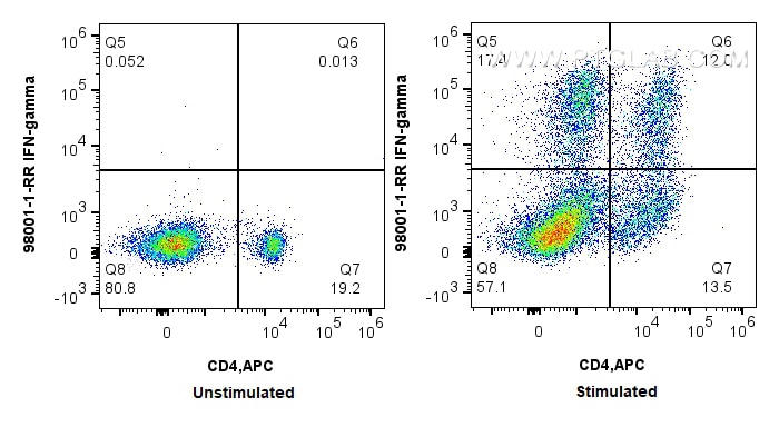 Flow cytometry (FC) experiment of wistar rat splenocytes using Anti-Rat IFN-gamma Recombinant Antibody (98001-1-RR)