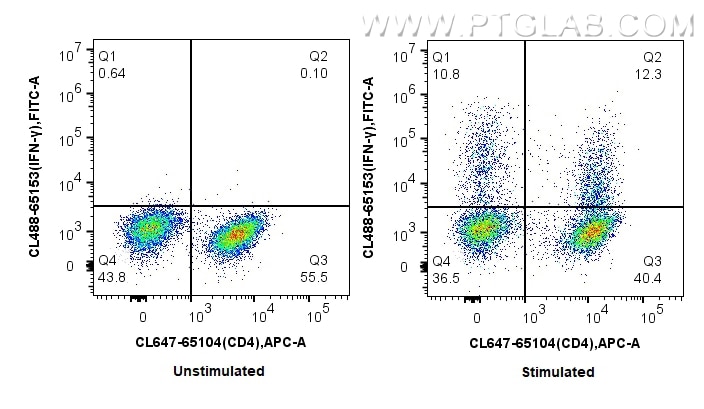 Flow cytometry (FC) experiment of actived mouse splenocytes T cell using CoraLite® Plus 488 Anti-Mouse IFN gamma (XMG1.2) (CL488-65153)
