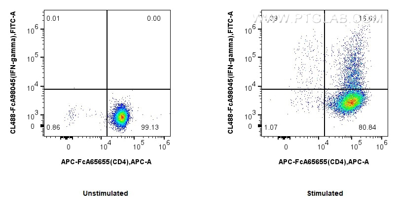 Flow cytometry (FC) experiment of C57BL/6 Th1-polarized splenocytes using FcZero-rAb™ CoraLite® Plus 488 Anti-Mouse IFN-gamm (CL488-FcA98045)