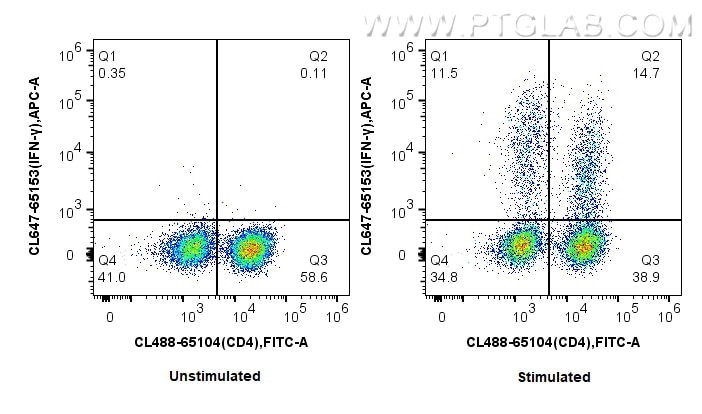 Flow cytometry (FC) experiment of actived mouse splenocytes T cell using CoraLite® Plus 647 Anti-Mouse IFN gamma (XMG1.2) (CL647-65153)
