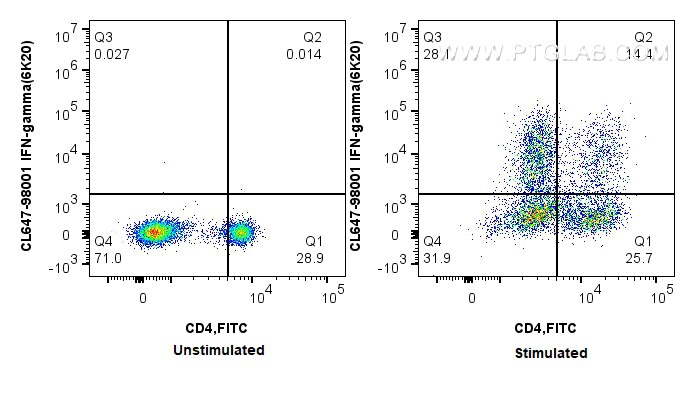 Flow cytometry (FC) experiment of rat splenocytes cells using CoraLite® Plus 647 Anti-Rat IFN-gamma (6K20) Rabbi (CL647-98001)