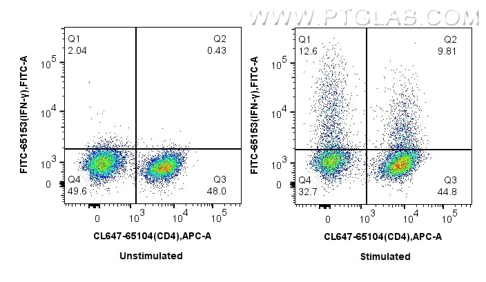Flow cytometry (FC) experiment of actived mouse splenocytes T cell using FITC Plus Anti-Mouse IFN gamma (XMG1.2) (FITC-65153)