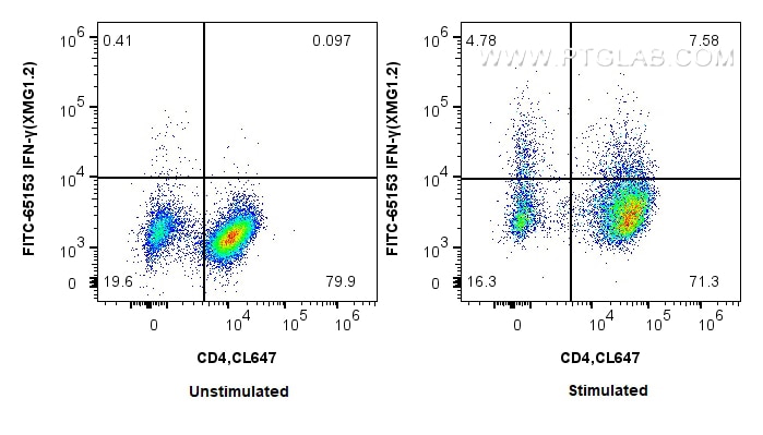 Flow cytometry (FC) experiment of C57BL/6 Th1-polarized splenocytes using FITC Plus Anti-Mouse IFN gamma (XMG1.2) (FITC-65153)