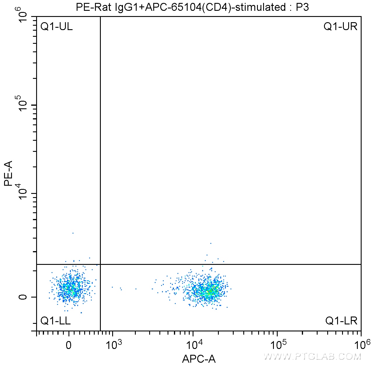 IFN gamma