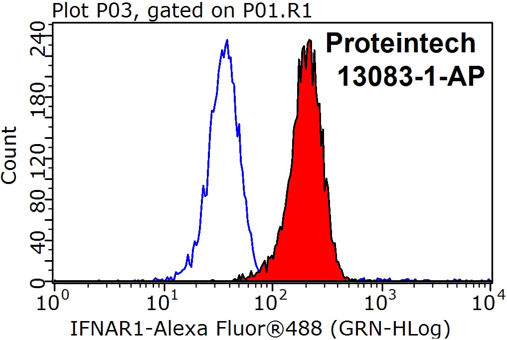 Flow cytometry (FC) experiment of K-562 cells using IFNAR1 Polyclonal antibody (13083-1-AP)