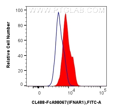 FC experiment of U-937 using CL488-FcA98067 Flow cytometry (FC) experiment of U-937 cells using FcZero-rAb® CoraLite® Plus 488 Anti-Human IFNAR1 R (CL488-FcA98067)