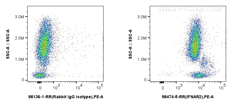 FC experiment of human blood using 98474-5-RR (same clone as 98474-5-PBS) Flow cytometry (FC) experiment of human blood using Anti-Human IFNAR2 Rabbit Recombinant Antibody (98474-5-RR)