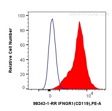 IFNGR1/CD119
