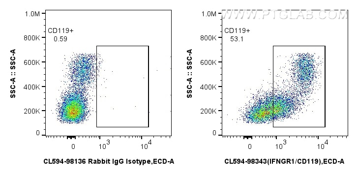 FC experiment of human PBMCs using CL594-98343 Flow cytometry (FC) experiment of human PBMCs using CoraLite®594 Anti-Human IFNGR1/CD119 Rabbit Recomb (CL594-98343)
