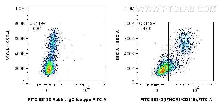 FC experiment of human PBMCs using FITC-98343 Flow cytometry (FC) experiment of human PBMCs using FITC Plus Anti-Human IFNGR1/CD119 Rabbit Recombina (FITC-98343)
