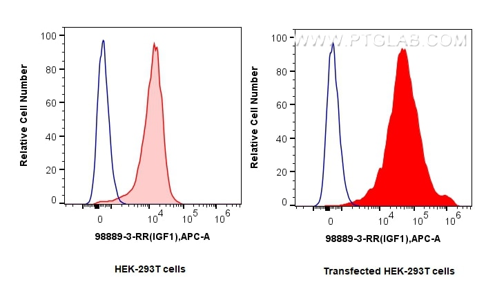 FC experiment of Transfected HEK-293T using 98889-3-RR Flow cytometry (FC) experiment of Transfected HEK-293T cells using Anti-Human IGF1 Rabbit Recombinant Antibody (98889-3-RR)
