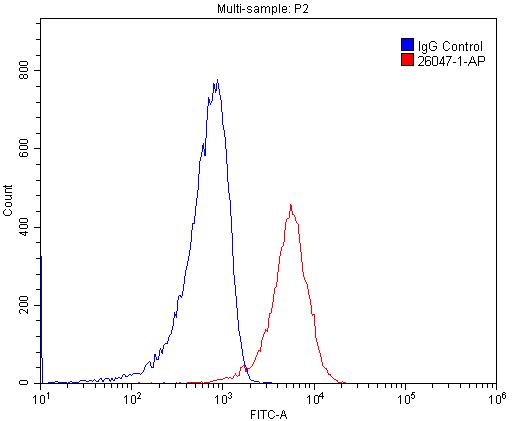 Flow cytometry (FC) experiment of RAW 264.7 cells using IGSF2 Polyclonal antibody (26047-1-AP)